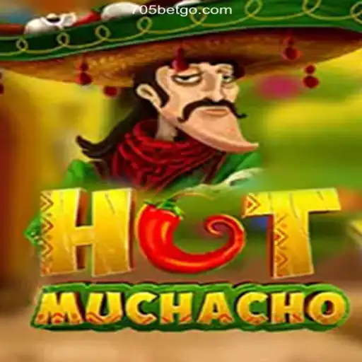 The Exciting World of HotMuchacho: A New Frontier in Online Casino Gaming
